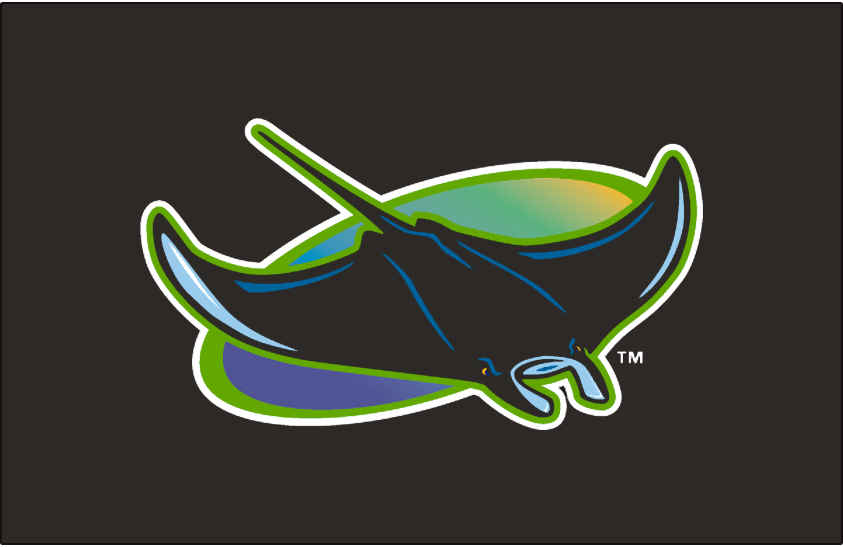 Tampa Bay Devil Rays 1998-2000 Cap Logo fabric transfer version 2